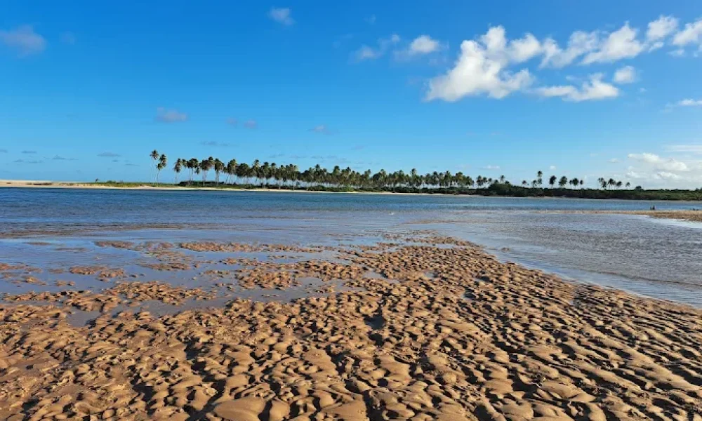Barra do Jacuipe (3)