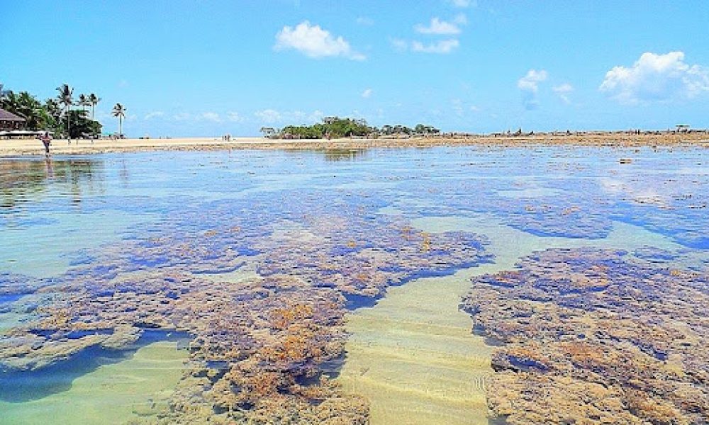 Morro de São Paulo (1)